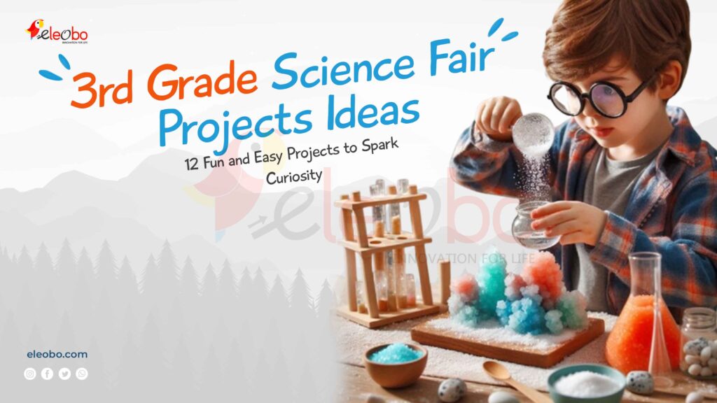 Science Fair Projects Ideas for 3rd Grade: 12 Fun and Easy Projects to Spark Curiosity